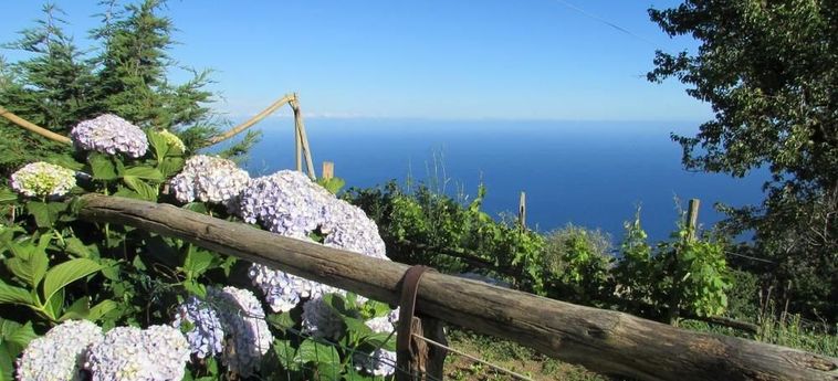 Agriturismo Mare E Monti:  AMALFI KUSTE