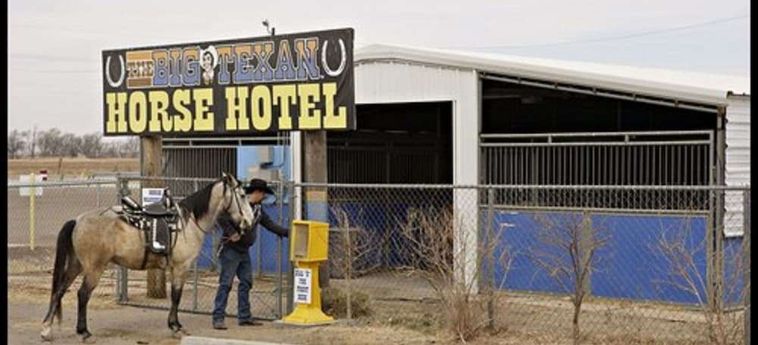 Hotel Big Texan Motel Amarillo (Tx) : Photo 