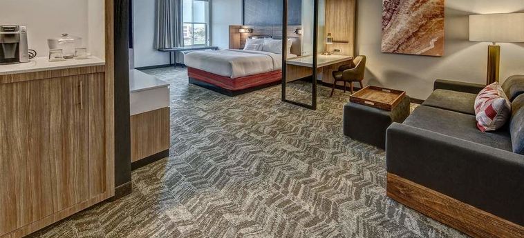 Hotel Springhill Suites By Marriott Amarillo Amarillo (Tx) : Photo 