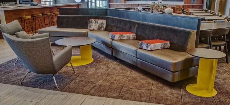 Hotel Springhill Suites By Marriott Amarillo Amarillo (Tx) : Photo 