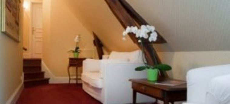 Hotel Le Manoir Saint Thomas Amboise: Foto 