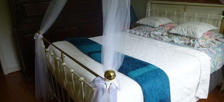 Hotel La Petite Vigne Amboise: Foto 