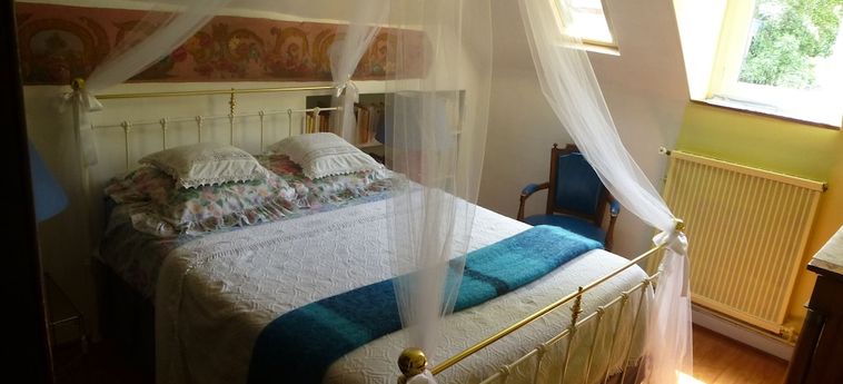 Hotel La Petite Vigne Amboise : Photo 