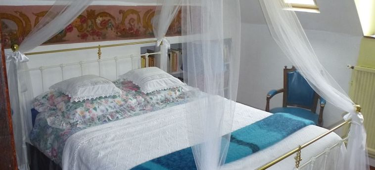 Hotel La Petite Vigne Amboise : Photo 