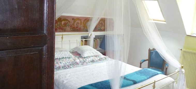 Hotel La Petite Vigne Amboise : Photo 