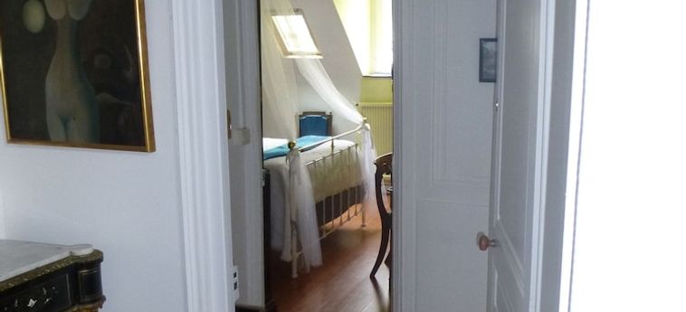 Hotel La Petite Vigne Amboise: Foto 