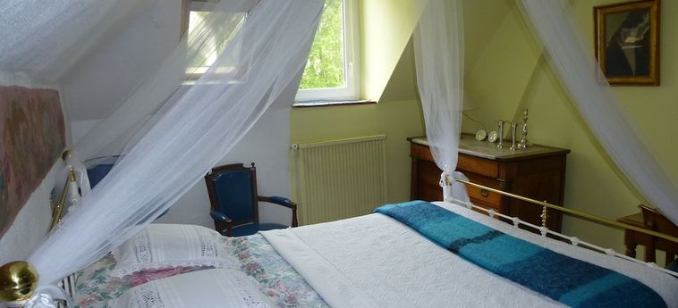 Hotel La Petite Vigne Amboise: Foto 