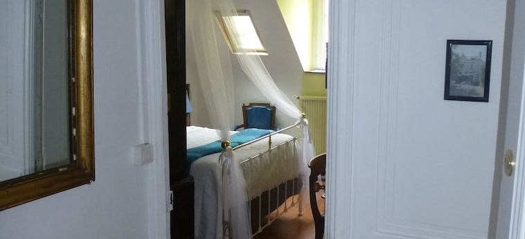 Hotel La Petite Vigne Amboise: Foto 