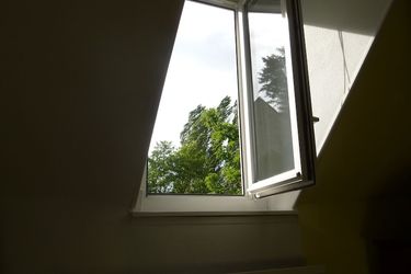 Hotel La Petite Vigne Amboise: Photo 