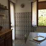 COMFORTABLE APARTMENT WITH GARDEN IN AMEGLIA, CLOSE TO THE HISTORICAL CENTRE! 3 Stars