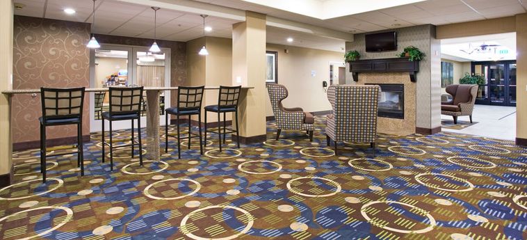 Hotel Holiday Inn Express & Suites American Fork- North Provo:  AMERICAN FORK (UT)
