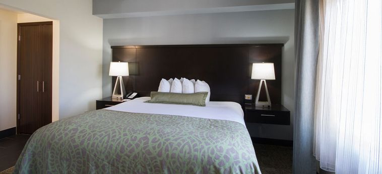 Hotel Staybridge Suites Buffalo:  AMHERST (NY)
