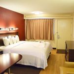 Hotel RED ROOF INN PLUS+ UNIVERSITY AT BUFFALO - AMHERST