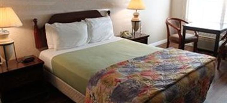Hotel Alamo Inn & Suites:  ANAHEIM (CA)