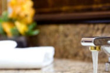 The Hotel Captain Cook:  ANCHORAGE (AK)