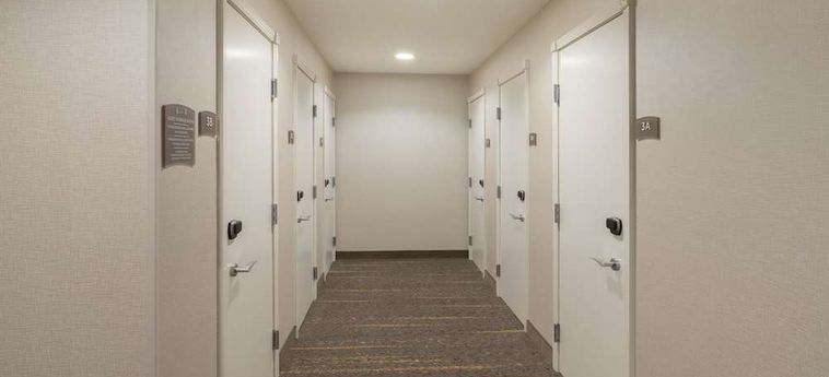 Hotel Staybridge Suites Anchorage Anchorage (Ak): Photo 
