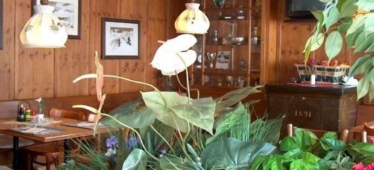 Hotel Gasthaus Skiklub Andermatt: Foto 