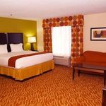 Hotel HOLIDAY INN EXPRESS HOTEL & SUITES ANDERSON-I-85 (HWY 76, EX 19B)