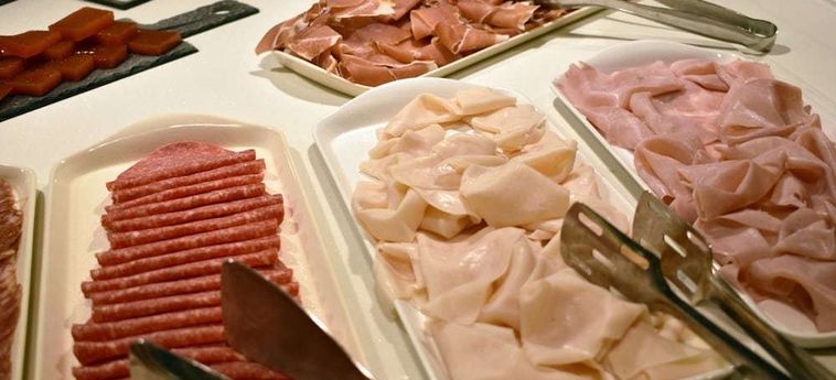 Suites Plaza Hotel &Amp; Wellness Andorra Andorra : Photo 