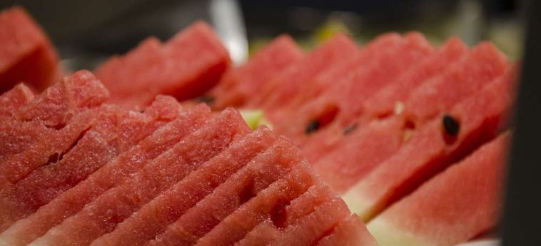 Suites Plaza Hotel &Amp; Wellness Andorra Andorra : Photo 
