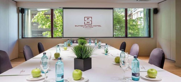 Suites Plaza Hotel &Amp; Wellness Andorra Andorra : Photo 