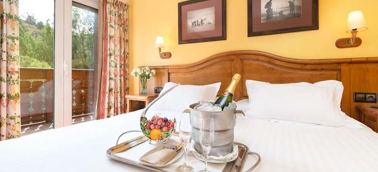 Ski Plaza Hotel And Wellness Andorra : Photo 