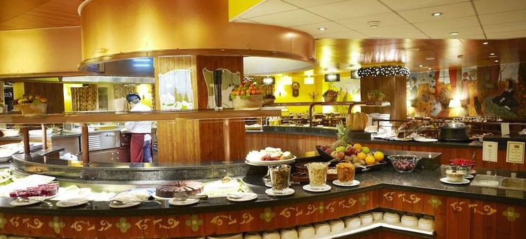 Ski Plaza Hotel And Wellness Andorra : Photo 