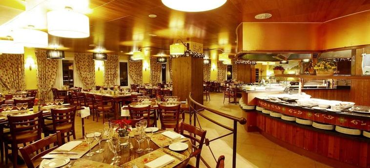 Ski Plaza Hotel And Wellness Andorra : Photo 