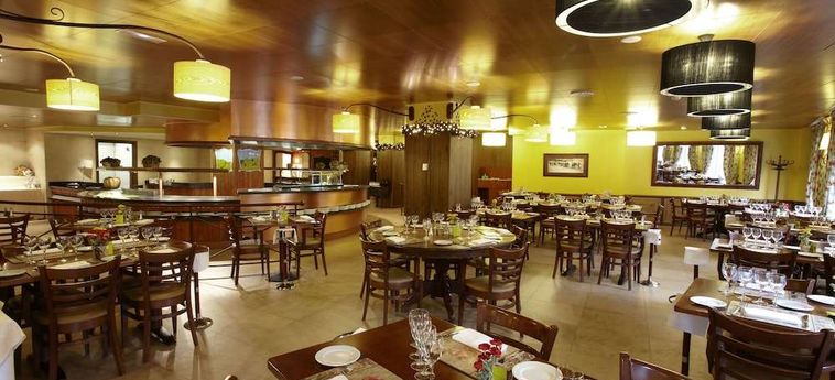 Ski Plaza Hotel And Wellness Andorra : Photo 