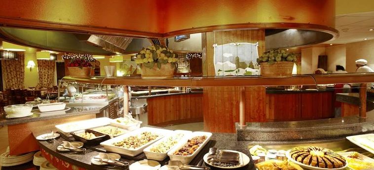 Ski Plaza Hotel And Wellness Andorra : Photo 