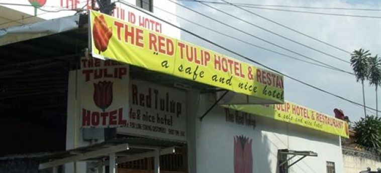 Hotel The Red Tulip:  ANGELES CITY