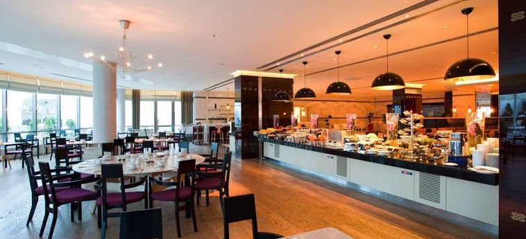 Hotel Wyndham Ankara:  ANKARA