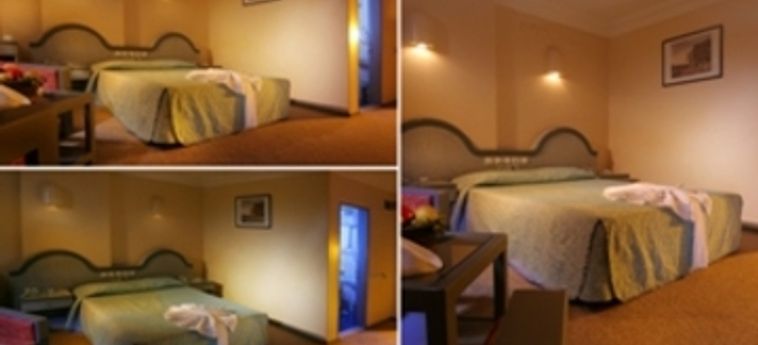 Hotel Ankara Ogulturk:  ANKARA