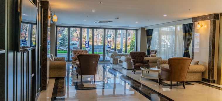 Akman Premium Hotel Ankara: Foto 