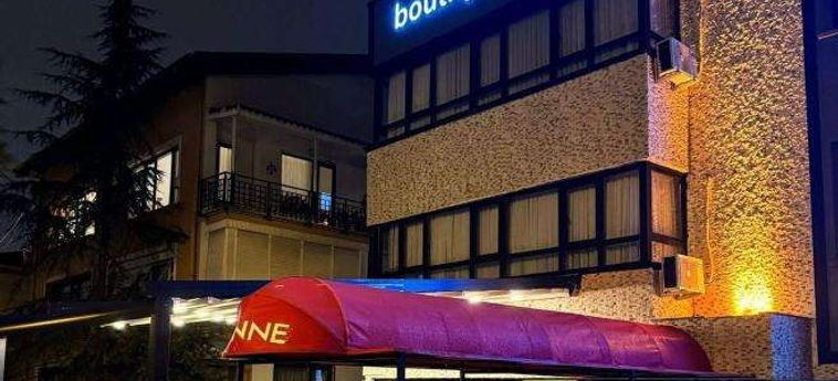 Wonne Boutique Hotel Ankara: Foto 