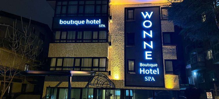 Wonne Boutique Hotel Ankara: Foto 