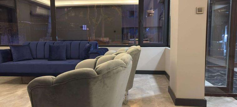 Wonne Boutique Hotel Ankara: Foto 