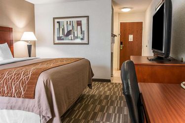 Hotel Comfort Inn & Suites University South:  ANN ARBOR (MI)