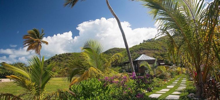 Hotel Keyonna Beach Resort - All Inclusive - Couples Only:  ANTIGUA AND BARBUDA