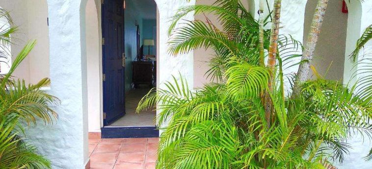 Hotel Trade Winds Antigua And Barbuda : Photo 