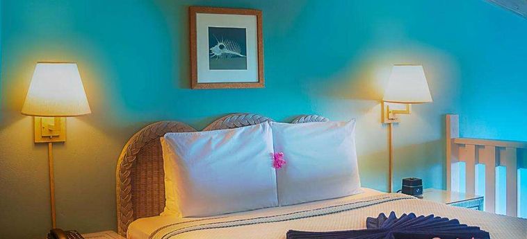 Hotel Trade Winds Antigua And Barbuda : Photo 