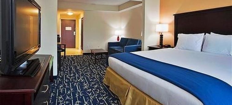 Hotel Holiday Inn Express Apopka:  APOPKA (FL)