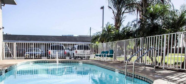 Hotel Rodeway Inn Apopka:  APOPKA (FL)