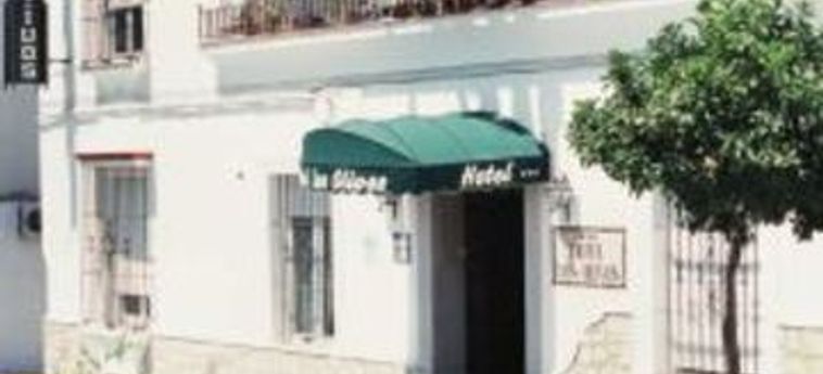 Hotel LOS OLIVOS