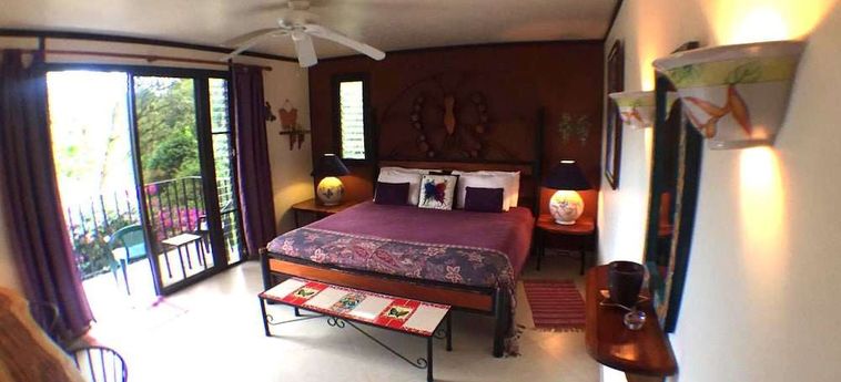 Hotel Lucky Bug B &Amp; B Arenal - Alajuela: Foto 