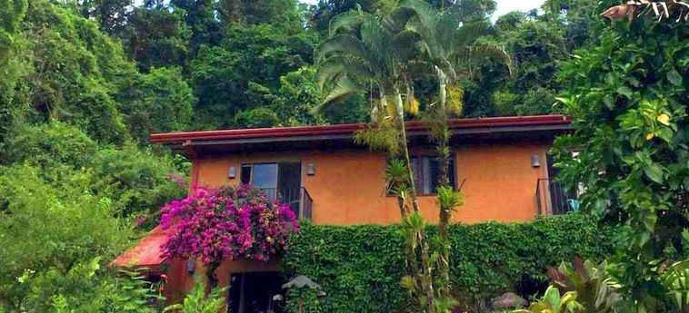 Hotel Lucky Bug B &Amp; B Arenal - Alajuela: Foto 