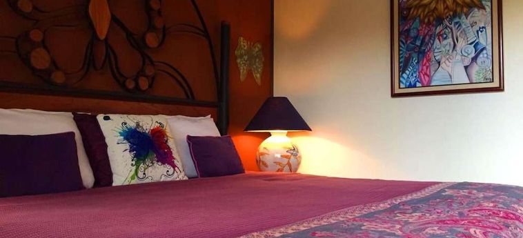Hotel Lucky Bug B &Amp; B Arenal - Alajuela: Foto 