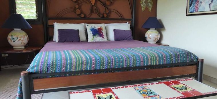 Hotel Lucky Bug B &Amp; B Arenal - Alajuela: Foto 