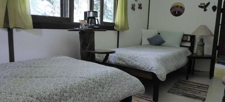 Hotel Lucky Bug B &Amp; B Arenal - Alajuela: Foto 