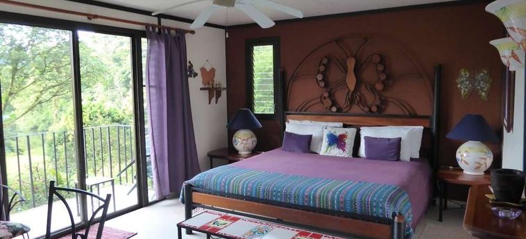Hotel Lucky Bug B &Amp; B Arenal - Alajuela : Photo 
